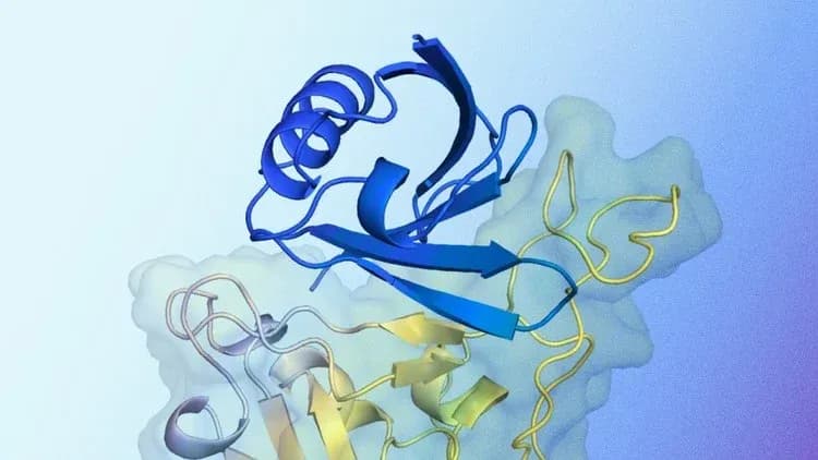 Computational Techniques for Protein 3D Structure Prediction