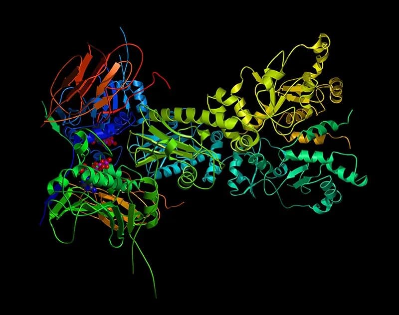 De-Novo Proteomics Data Analysis for Bioinformatics Research